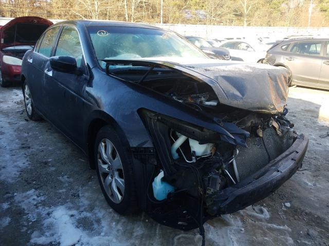 honda accord exl 2010 1hgcp3f88aa027743