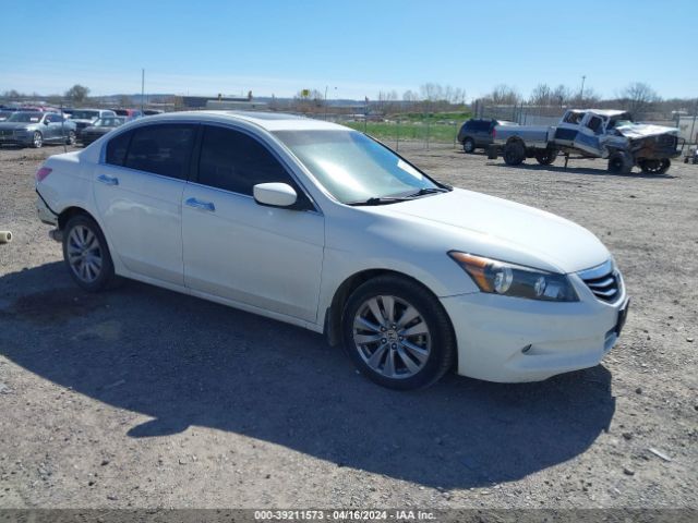 honda accord 2011 1hgcp3f88ba028215