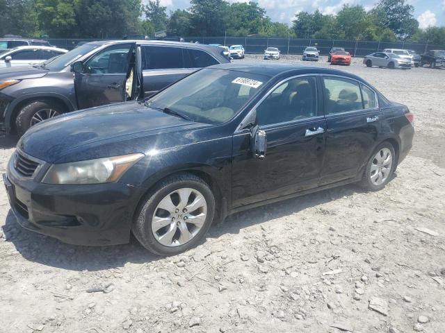 honda accord 2010 1hgcp3f89aa018288