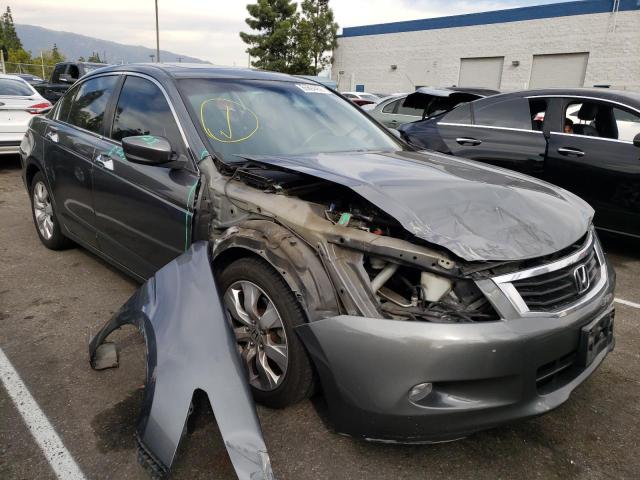 honda accord exl 2010 1hgcp3f89aa020641