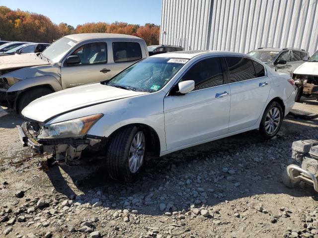 honda accord exl 2011 1hgcp3f89ba003730