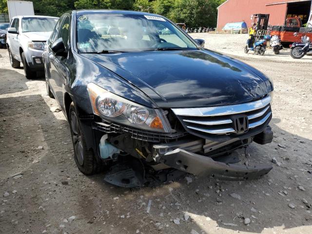 honda accord exl 2011 1hgcp3f89ba019622