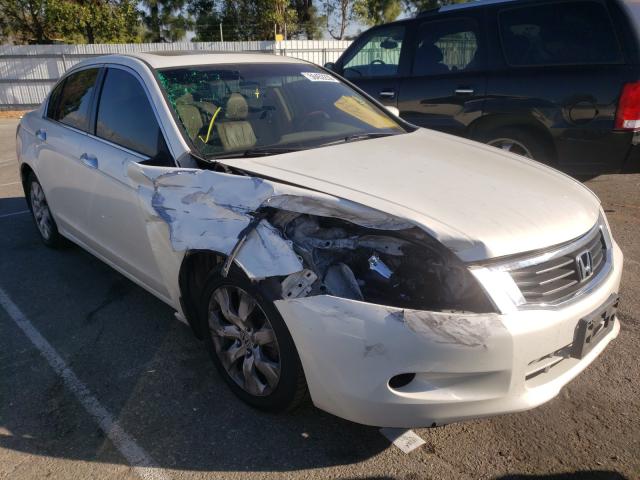 honda accord 2010 1hgcp3f8xaa007798