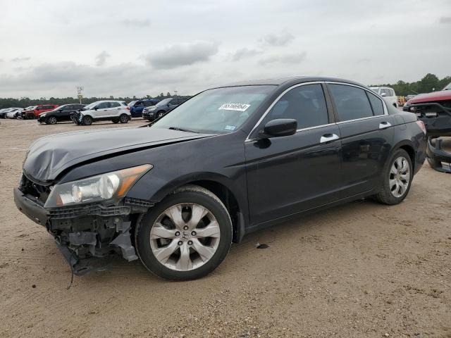 honda accord exl 2010 1hgcp3f8xaa031079