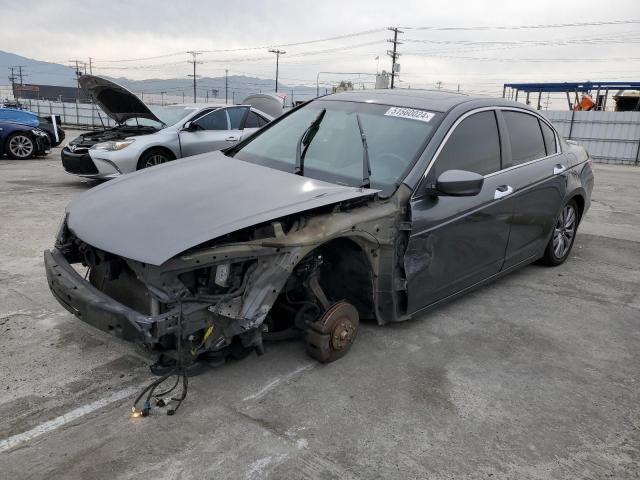 honda accord 2012 1hgcp3f8xca042201