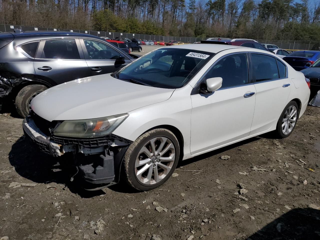 honda accord 2014 1hgcr2f50ea278546