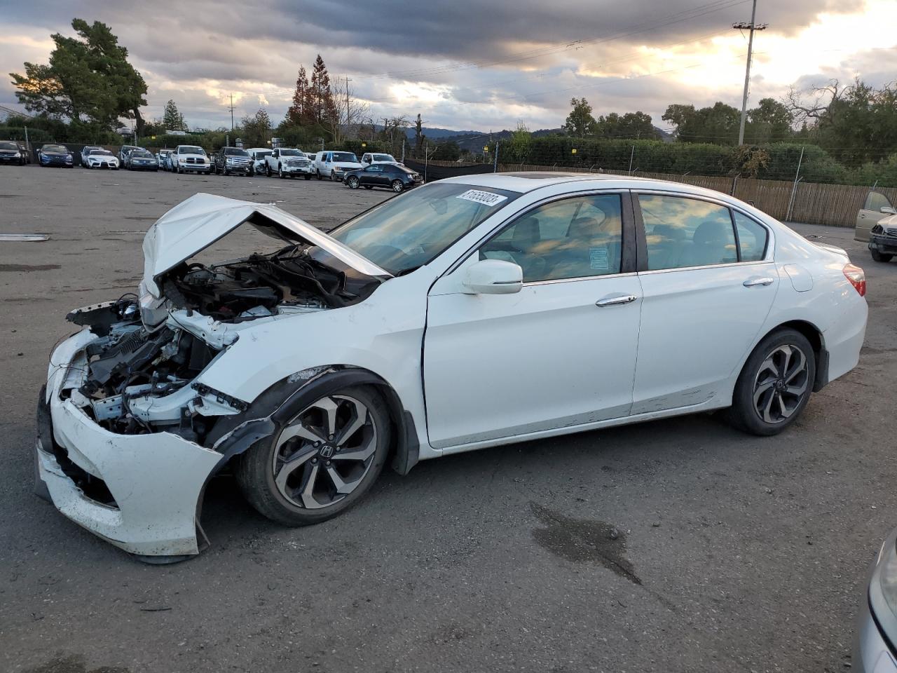 honda accord 2016 1hgcr2f80ga204489