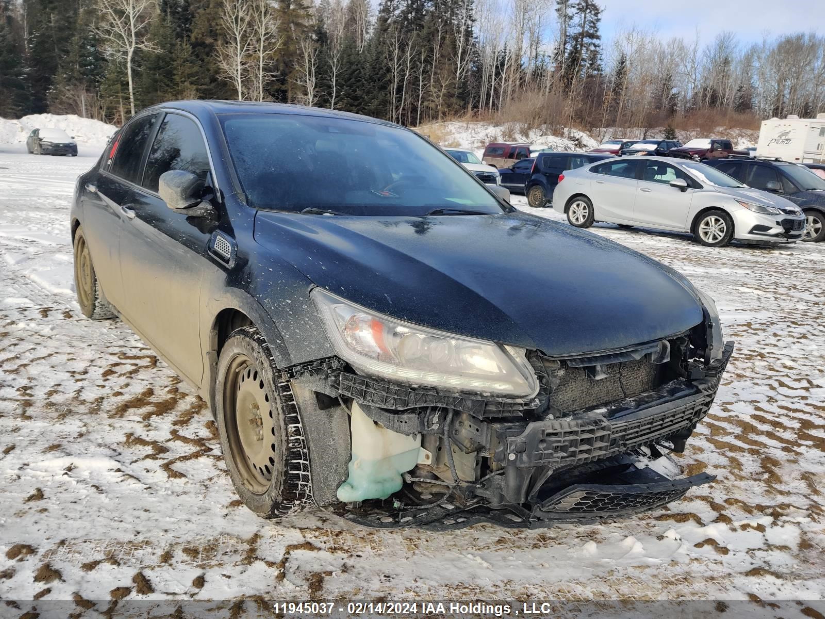 honda accord 2014 1hgcr2f95ea812725