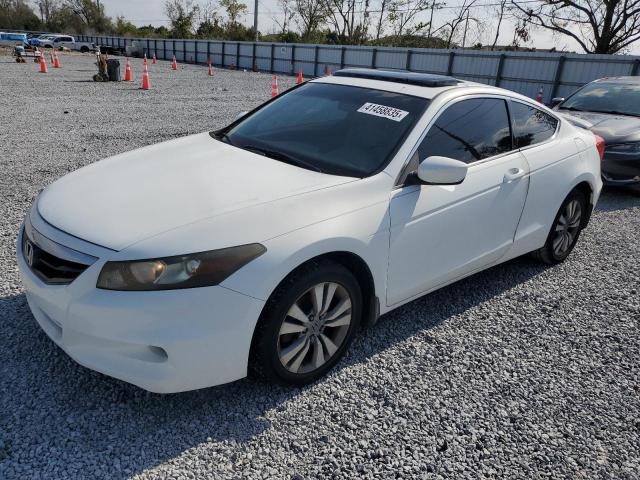 honda accord exl 2011 1hgcs1b84ba001599