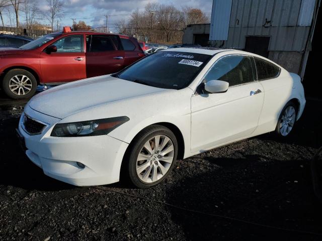 honda accord exl 2010 1hgcs2b80aa005024