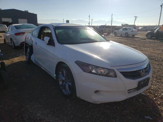 honda accord exl 2011 1hgcs2b81ba008614