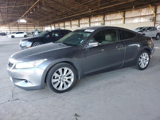 honda accord exl 2010 1hgcs2b8xaa010098