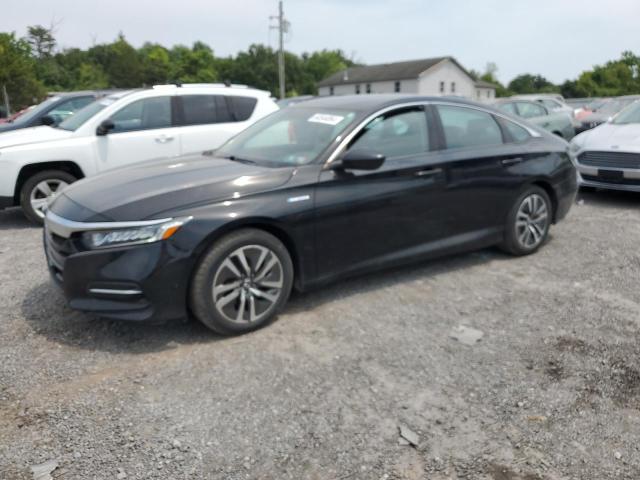 honda accord 2019 1hgcv3f15ka020517