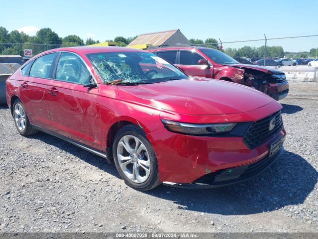 honda accord 2024 1hgcy1f23ra034477