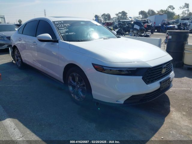 honda accord 2024 1hgcy1f34ra044668