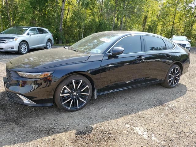 honda accord tou 2024 1hgcy2f81ra801351