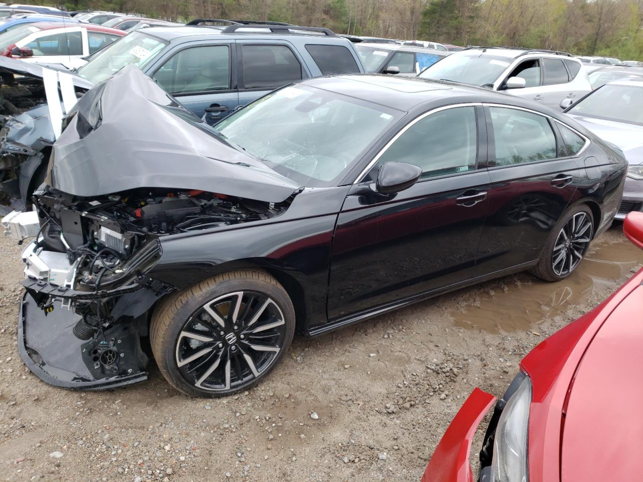 honda accord tou 2024 1hgcy2f83ra042699