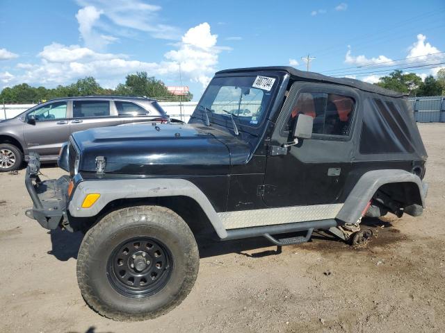 jeep wrangler / 2002 1j4fa39s12p732459