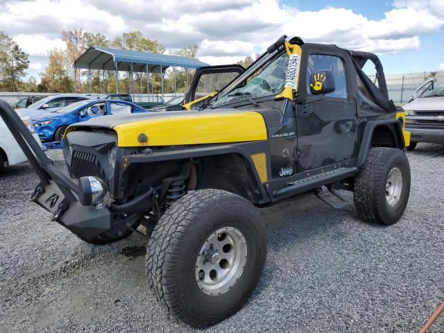 jeep wrangler / 2002 1j4fa39s62p767109