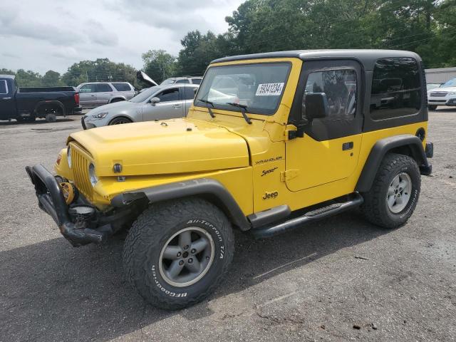 jeep wrangler / 2002 1j4fa49s02p703315