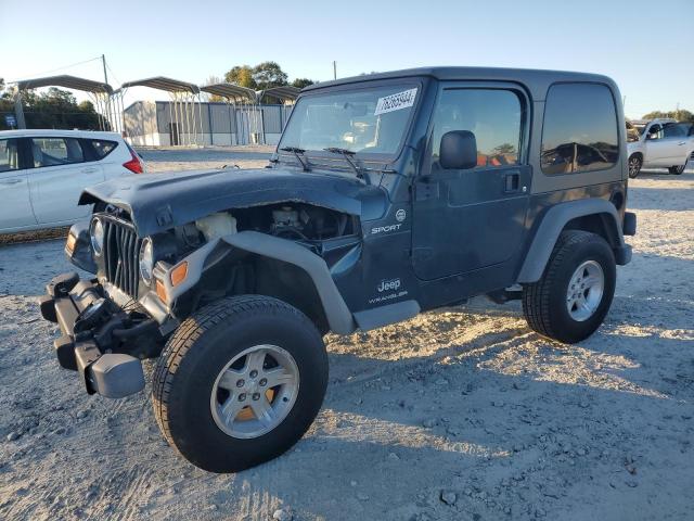 jeep wrangler  2006 1j4fa49s16p700512