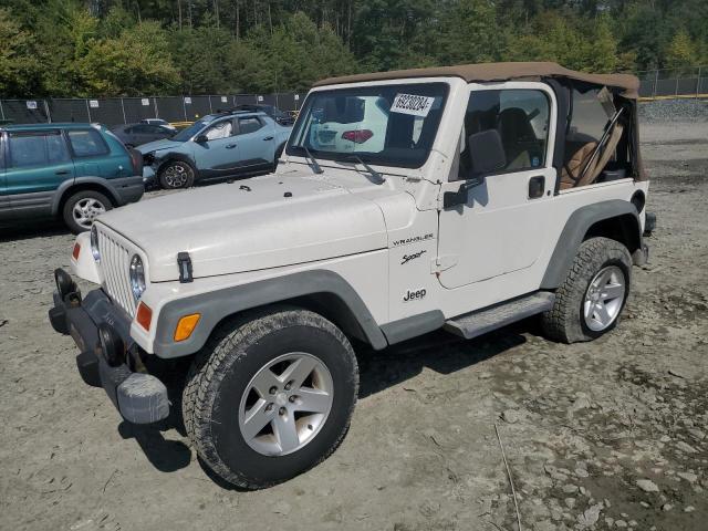 jeep wrangler  2002 1j4fa49s52p765759