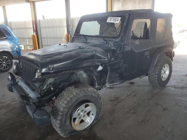 jeep wrangler / 2004 1j4fa49sx4p731349