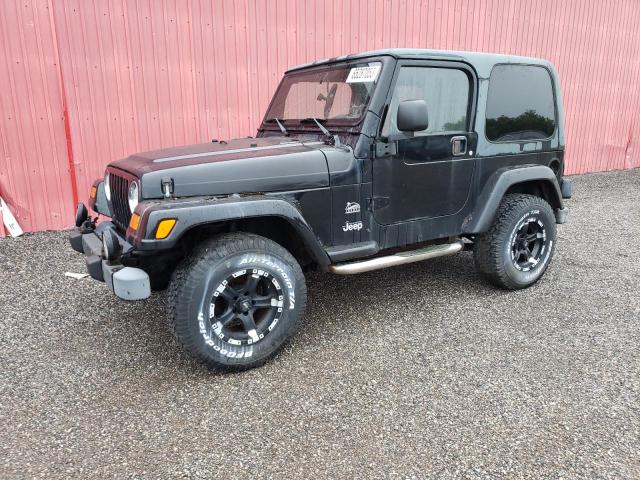 jeep wrangler / 2003 1j4fa59s53p313883