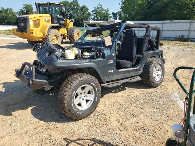 jeep wrangler / 2006 1j4fa69s56p709127