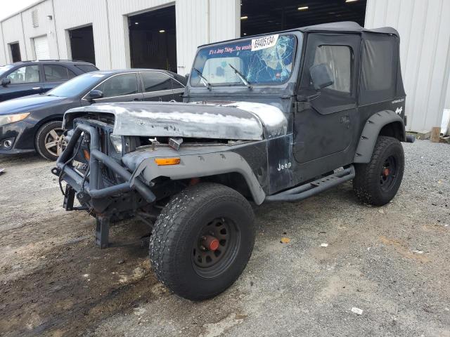 jeep wrangler / 1994 1j4fy19p0rp429968