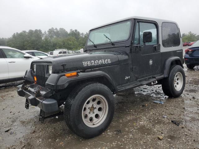 jeep wrangler / 1995 1j4fy19p1sp210359