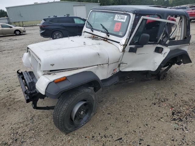 jeep wrangler / 1995 1j4fy19p3sp252810