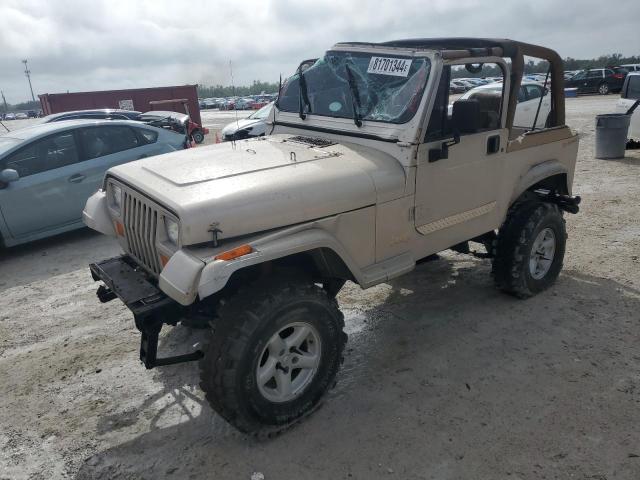 jeep wrangler / 1995 1j4fy19p8sp236649