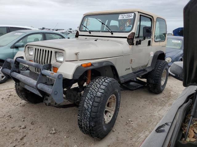 jeep wrangler / 1995 1j4fy29s6sp310046