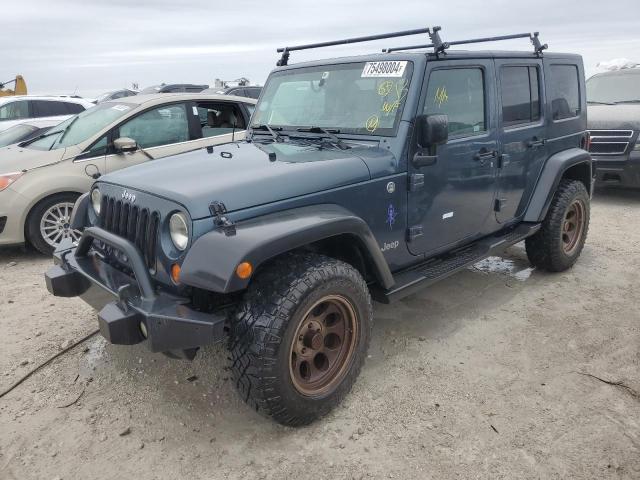 jeep wrangler u 2008 1j4ga39158l607203