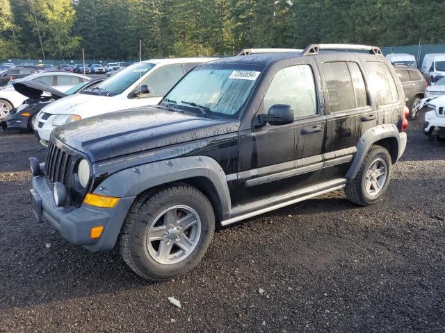 jeep liberty re 2006 1j4gk38k76w100628