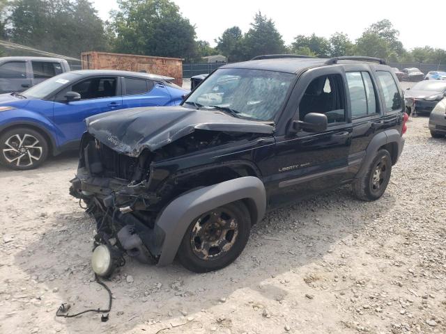 jeep liberty sp 2003 1j4gk48k13w711482