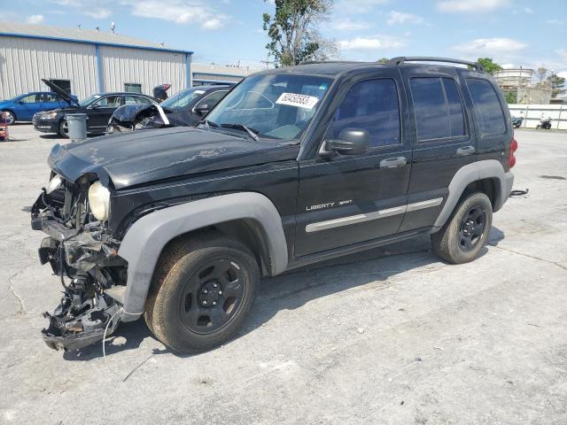 jeep liberty sp 2002 1j4gk48k82w166640