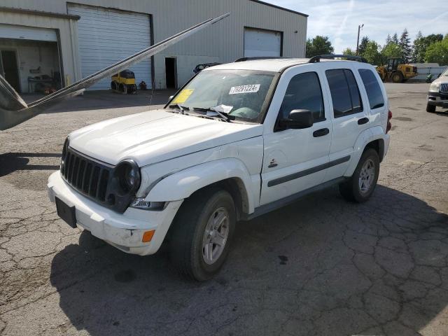 jeep liberty sp 2007 1j4gk48kx7w578341