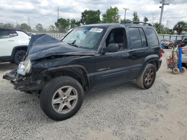 jeep liberty 2003 1j4gk58k73w724727