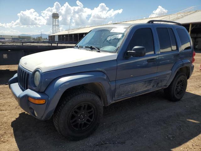 jeep liberty 2003 1j4gk58k93w721814