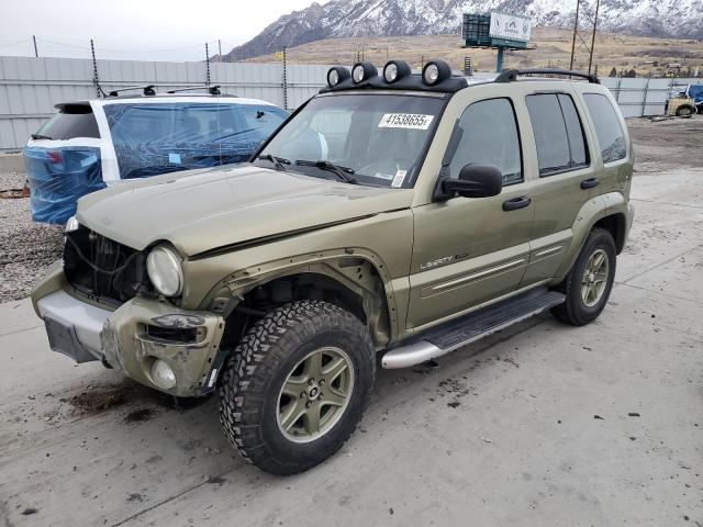 jeep liberty re 2002 1j4gl38k42w358757