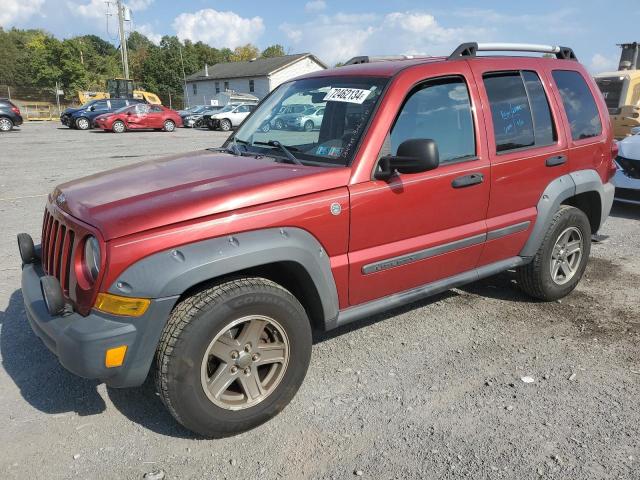 jeep liberty re 2006 1j4gl38k46w181214