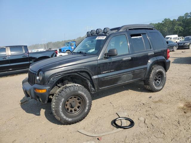 jeep liberty re 2003 1j4gl38k53w567345