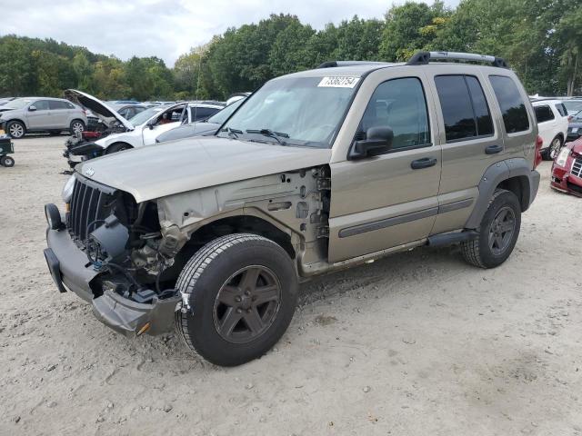 jeep liberty re 2006 1j4gl38k86w171737