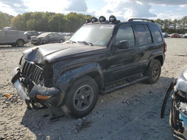 jeep liberty re 2003 1j4gl38kx3w729857