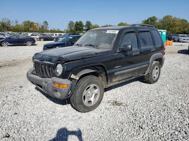 jeep liberty sp 2004 1j4gl48k04w151808