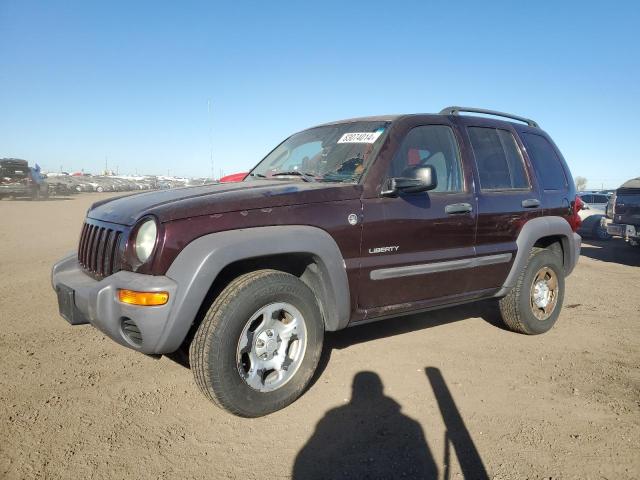 jeep liberty 2004 1j4gl48k04w183240