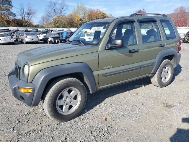 jeep liberty sp 2004 1j4gl48k04w240598