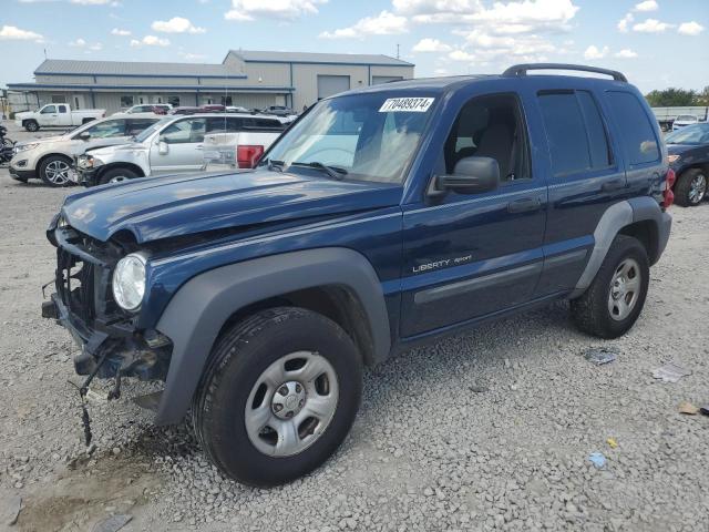 jeep liberty sp 2003 1j4gl48k13w540648